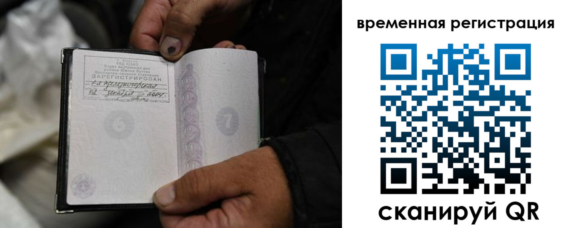 прописка поиск в Тосно